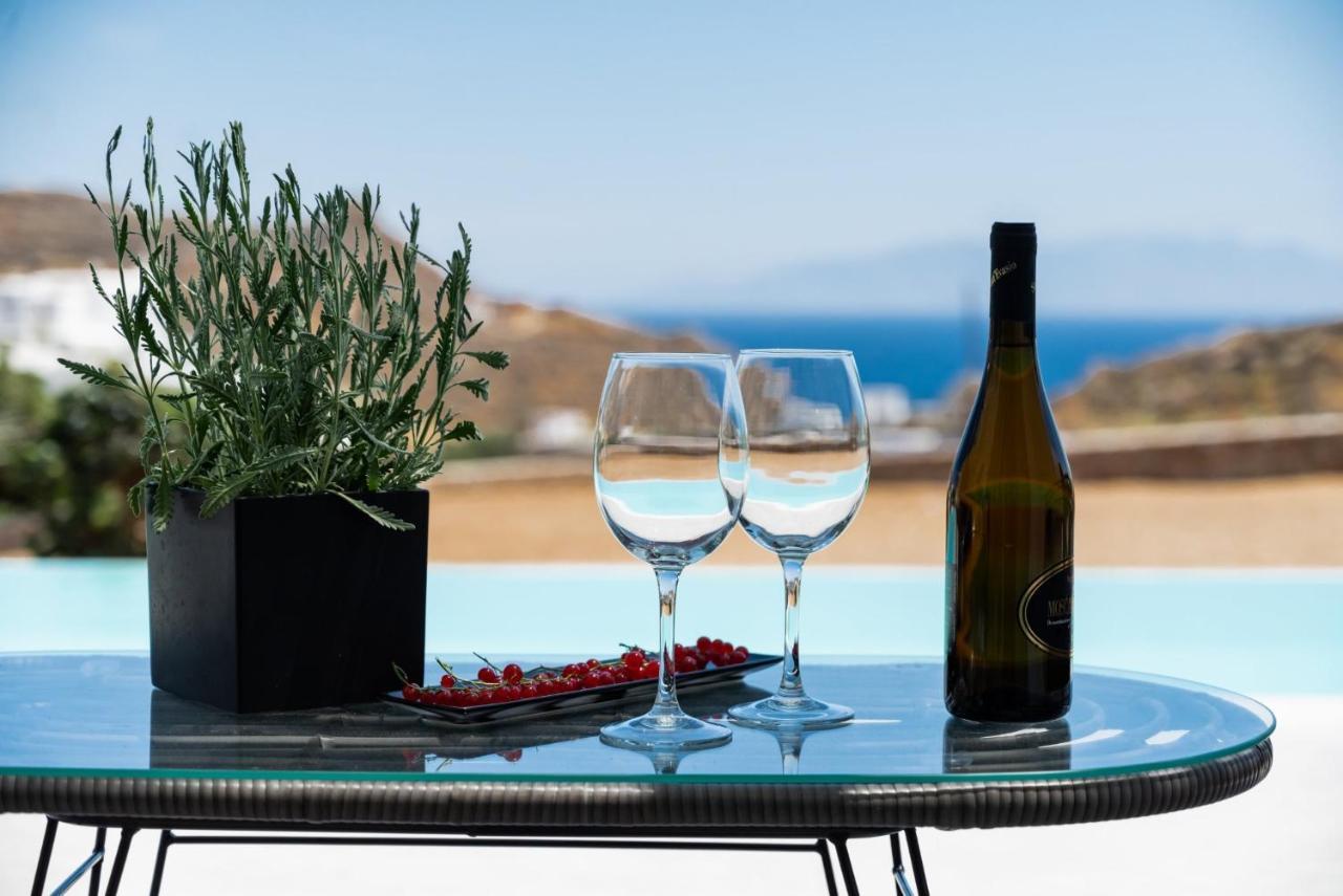 Dioni Villa Mykonos 帕瑞加 外观 照片
