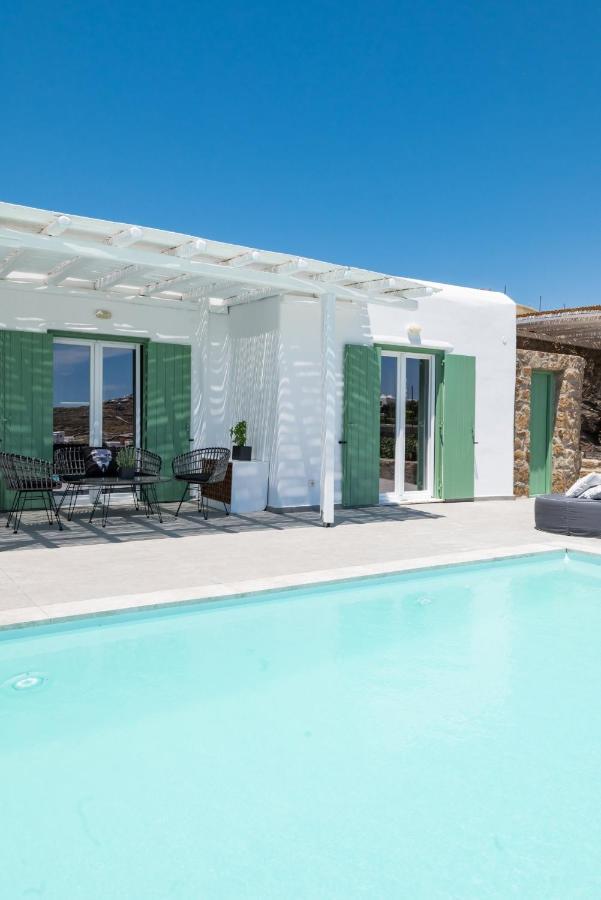 Dioni Villa Mykonos 帕瑞加 外观 照片