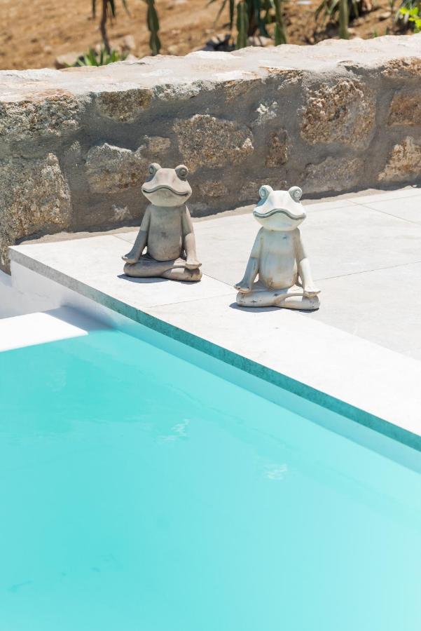 Dioni Villa Mykonos 帕瑞加 外观 照片