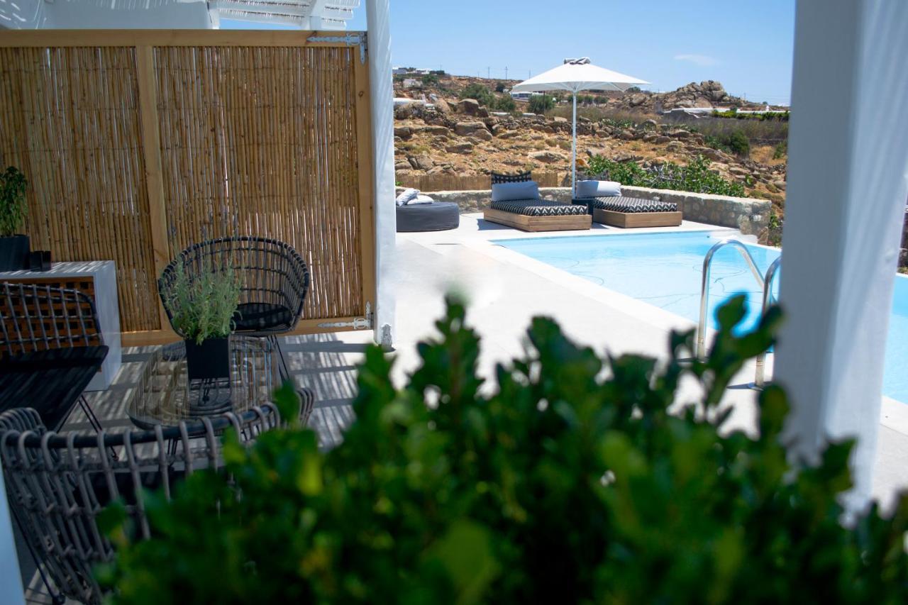 Dioni Villa Mykonos 帕瑞加 外观 照片