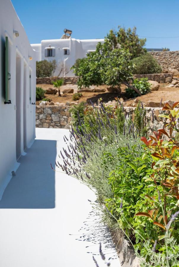 Dioni Villa Mykonos 帕瑞加 外观 照片